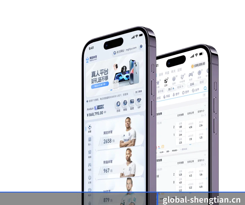 国际化进程